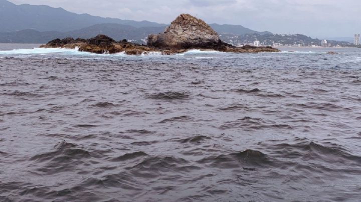 Marea roja en Manzanillo no es tóxica para humanos, informa la Coespris