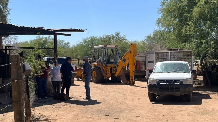 Investigan cruel ataque a animalitos en rancho de Sonora