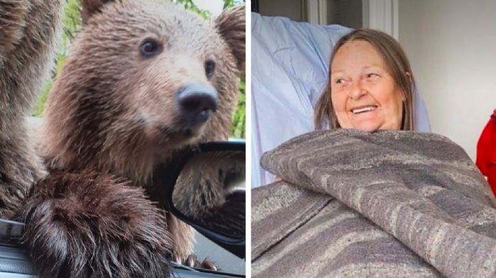 Una mujer quería una selfie con un oso, pero casi pierde la mano: “pensé que quería ser mi amigo”