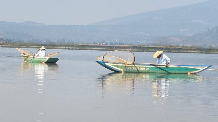 Pescadores piden ayuda a la Marina para limpiar Lago de Pátzcuaro: “no pescamos ni un kilo a la semana”