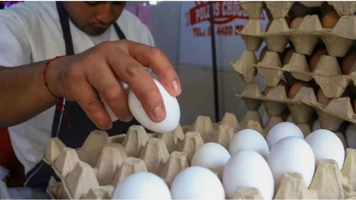 MAPA: Precio del huevo de 50 a 100 pesos, en qué estado lo consigues más barato