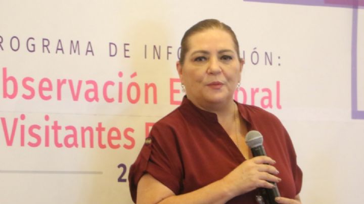Guadalupe Taddei: "La organización del proceso electoral transcurre en los tiempos establecidos por la ley"