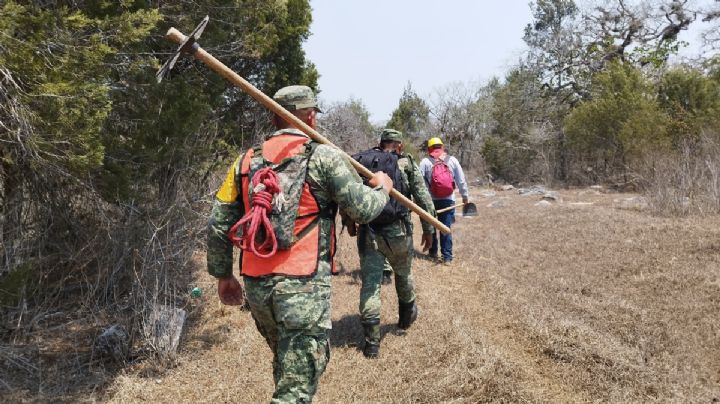 Protección Civil de Chiapas toma acciones aéreas y terrestres para combatir 13 incendios