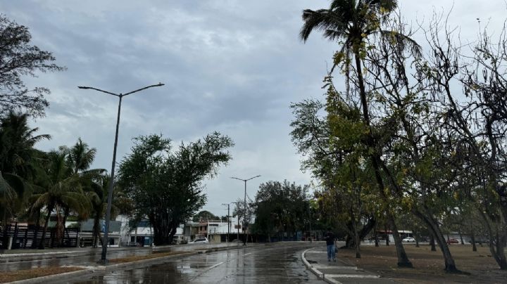 Tormenta tropical Alberto: no se reportan daños tras tocar tierra en Ciudad Madero