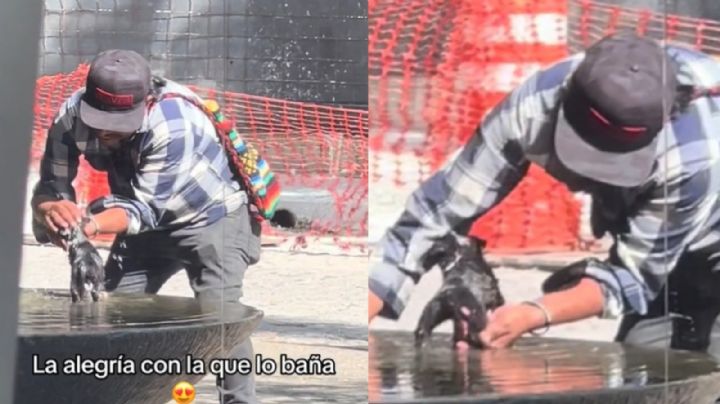 Hombre se hace viral por bañar a su perrito en una fuente, "tiene un alma hermosa", le dicen en redes | VIDEO