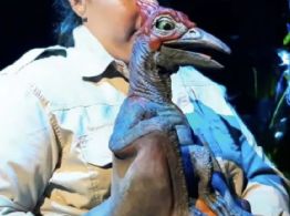 Exposición Jurassic Park lanza ficha de búsqueda por dinosaurio robado en Perisur