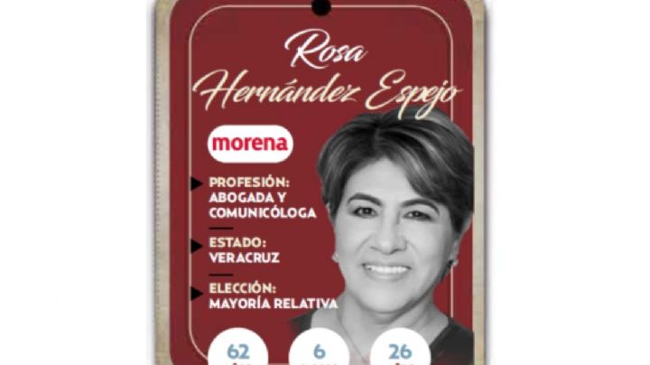 Conoce a Rosa Hernández Espejo, próxima diputada de Morena
