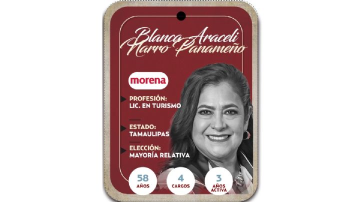 ¿Quién es Blanca Araceli Narro Panameño? Diputada por mayoría relativa de Morena 