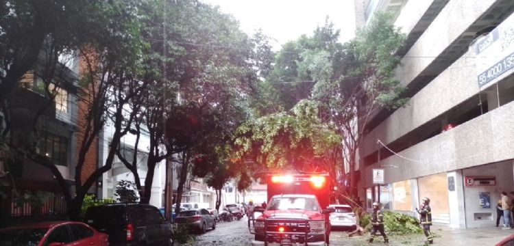 Reportan afectaciones en cinco alcaldías por las lluvias