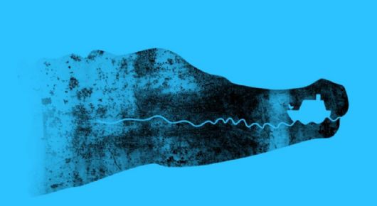 Test de Personalidad: ¿Cocodrilo o barco? Te dirá si eres una persona práctica o única