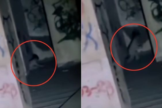 Captan a niño fantasma durante exploración urbana en una hacienda abandonada: Video de terror