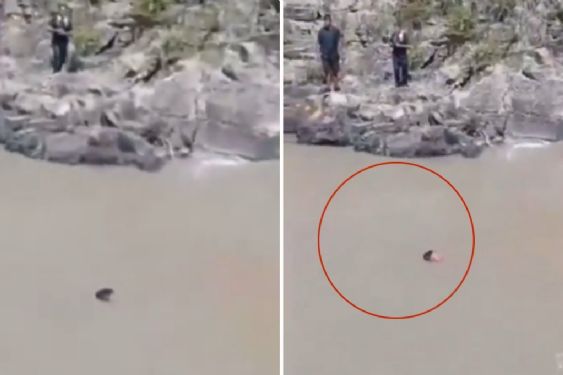 Hombre sospechoso de secuestro muere ahogado tras ser perseguido por vecinos | Video