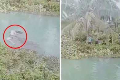 Mujer es asesinada por un cocodrilo mientras recolectaba espinacas
