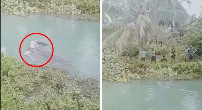 Mujer es asesinada por un cocodrilo mientras recolectaba espinacas