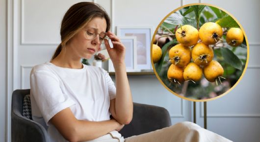 Esta es la fruta de México rica en vitamina C que es el aliado perfecto contra la anemia