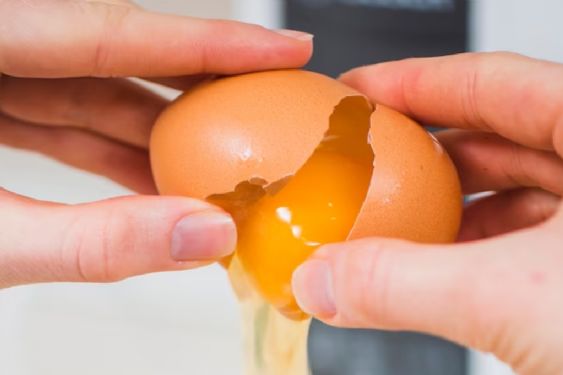 ¿Cuántos huevos se pueden comer al día? Mitos y verdades según la ciencia