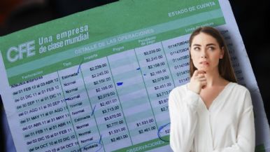 Descripción de la imagen