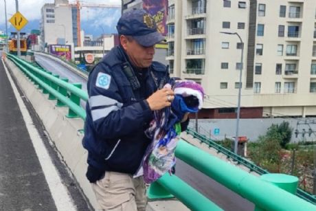 Rescatan policías a gatito en el Segundo Piso del Periférico FOTOS