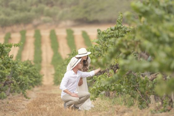Del viñedo a la botella: Bodegas Cetto hace visible el origen de su nueva línea