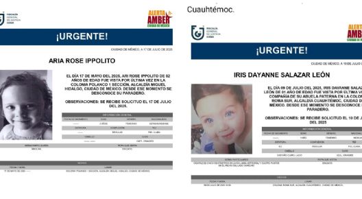 Buscan a dos bebés, Aria Rosa e Iris Dayanne, vistas por última vez en Polanco y la Roma