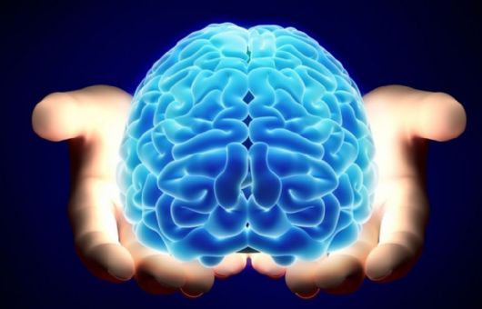 Cerebros activos, vejez plena: las claves médicas para frenar el deterioro cognitivo
