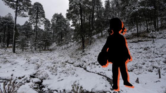 La Niña traerá invierno 2025 más frío, con hielo ártico y nevadas a México