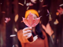 ¿Cuándo es el equinoccio de otoño y cómo prepararte energéticamente para recibirlo con abundancia?