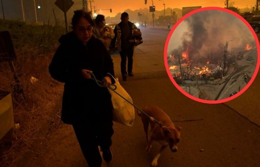 Incendios forestales devastan a Chile: 15 personas muertas y más de 50,000 evacuadas al momento | FOTOS