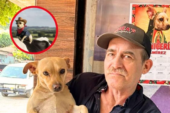 Él es Lobis, el perrito guadalupano que se volvió famoso y ahora vende calendarios con su imagen