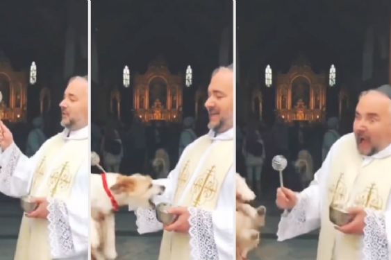 Perrito sorprende a sacerdote con una mordida mientras era bendencido