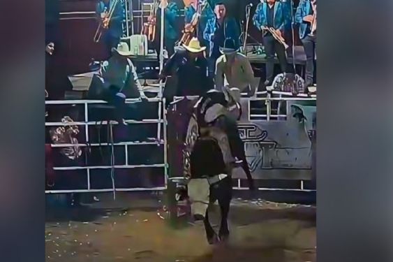 Foto de: Famoso jinete muere tras ser pisoteado por un toro en el pecho y el rostro, así fue el dramático momento | VIDEO FUERTE