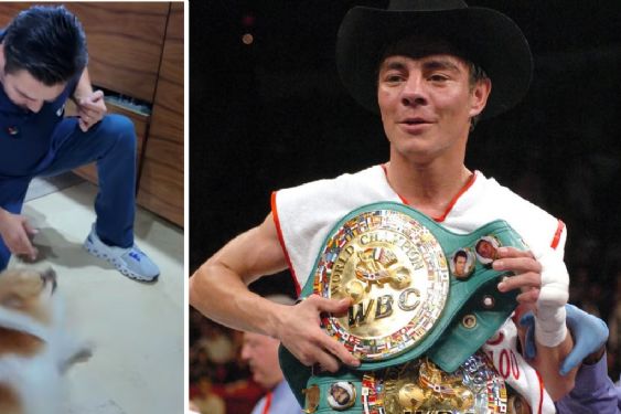 “El Travieso” Arce presume su nueva faceta, pasó de ser boxeador a encantador de perros | Video
