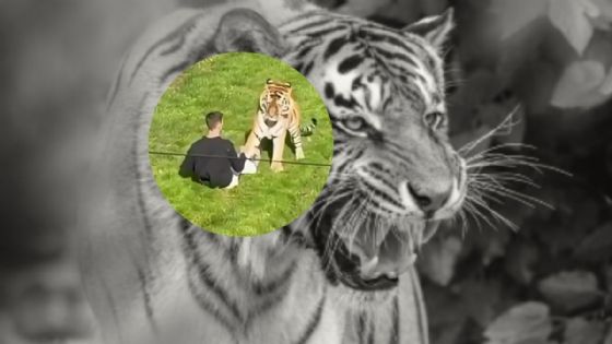 Mujer que tomó la foto al hombre asesinado por el tigre rompe el silencio y revela cómo se comportó