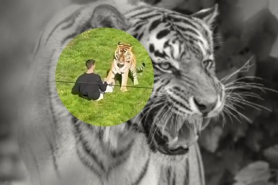Foto de: Mujer que tomó la foto al hombre asesinado por el tigre rompe el silencio y revela cómo se comportó