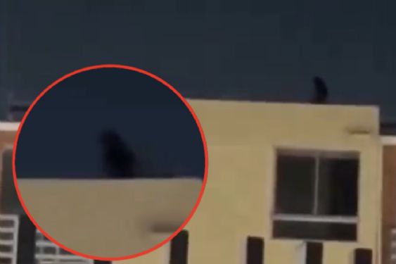 Vecinos graban supuesta bruja en la azotea de un edificio abandonado en plena noche | VIDEO