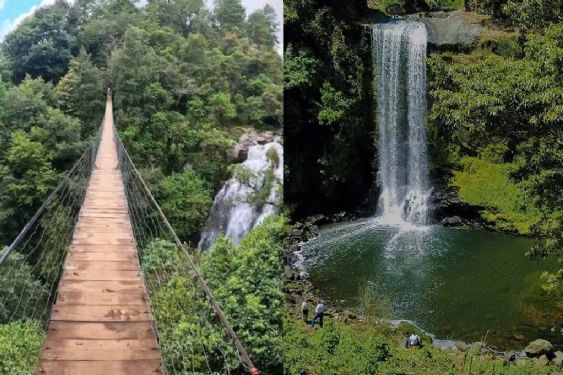 Cascadas, bosque de pinos y paisajes con niebla; el rincón mágico de Hidalgo para visitar este fin de semana