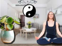 La planta que según el feng shui debes tener en tu casa si quieres tomar buenas decisiones