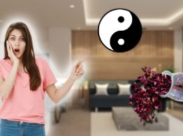 Las flores que no debes tener en casa si buscas renovar las energías en el hogar, según Feng Shui