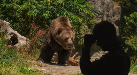 Oso arranca de un mordisco la cara de un hombre; sobrevive y así son sus días con las graves secuelas