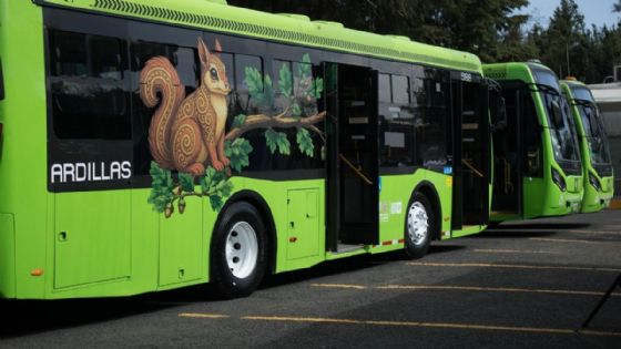 RTP brinda apoyo a las estaciones sin servicio de la Línea A del Metro