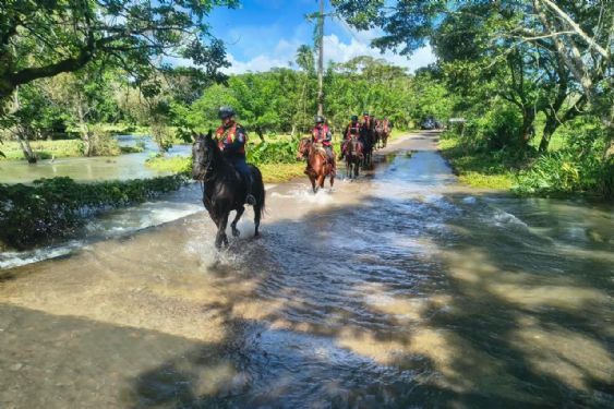 Foto de: Mantienen operativo Plan Tajín en Catemaco y Hueyapan por Frente Frío 2
