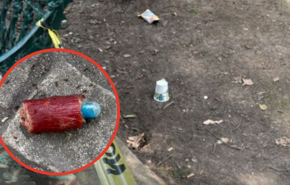 Fiscalía de la CDMX halla longaniza con píldoras incrustadas tras reportes de envenenamiento de perros en Parque España