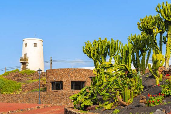Foto de: Ofrecen alojamiento gratis en una isla de España: solo deben trabajar 12 horas por semana