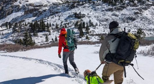 Estudiaban para ser bomberos forestales y guías de montaña; fueron encontrados sin vida tras una excursión