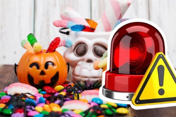 Flores letales, toxinas y dulces alterados: farmacobiólogo alerta sobre los riesgos sanitarios del Día de Muertos