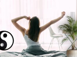 La planta que puedes poner en tu cuarto para crear un ambiente de armonía, según el feng shui