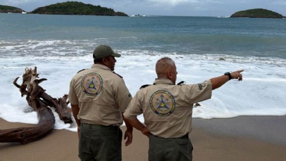 Jalisco se prepara para la llegada de Simon