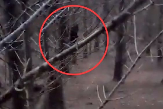 Hombre sale a dar un paseo en el bosque y huye aterrorizado al captar una extraña silueta que lo observa | VIDEO