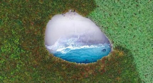 El lugar mágico en Nayarit para disfrutar de las ballenas antes que finalice el invierno