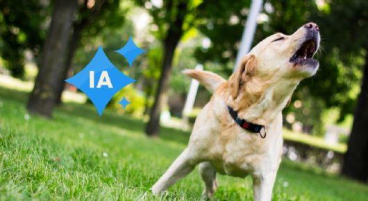 Aprende a interpretar los ladridos de tu perro con la ayuda de la Inteligencia Artificial